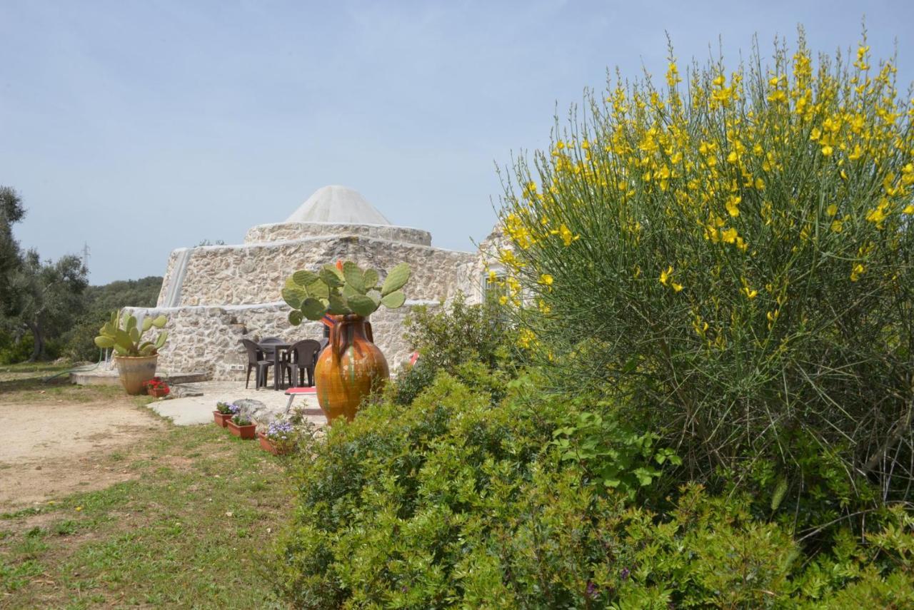 فيلا Trullo Minuetto أوستوني المظهر الخارجي الصورة